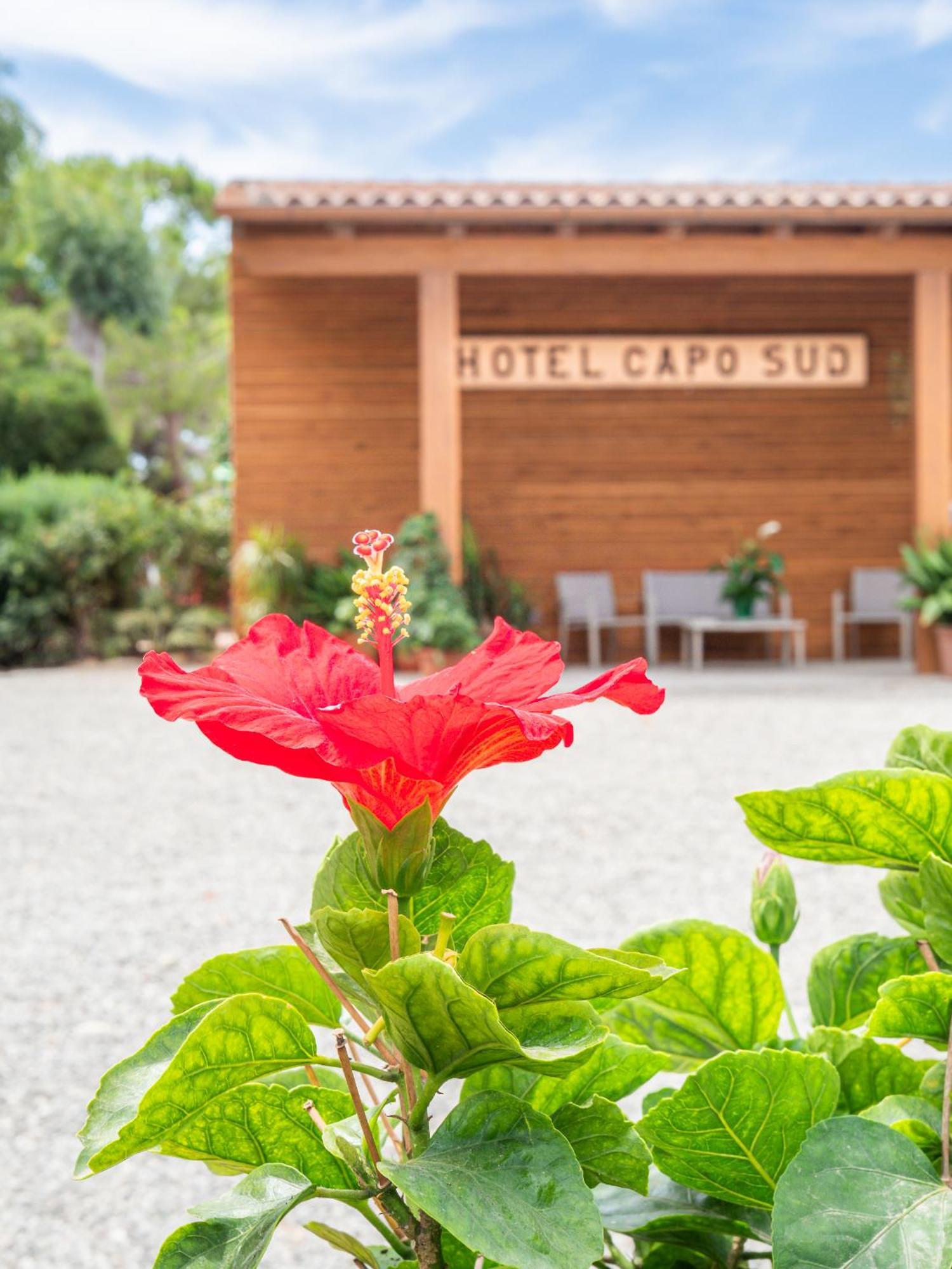 Hotel Capo Sud Lacona Buitenkant foto